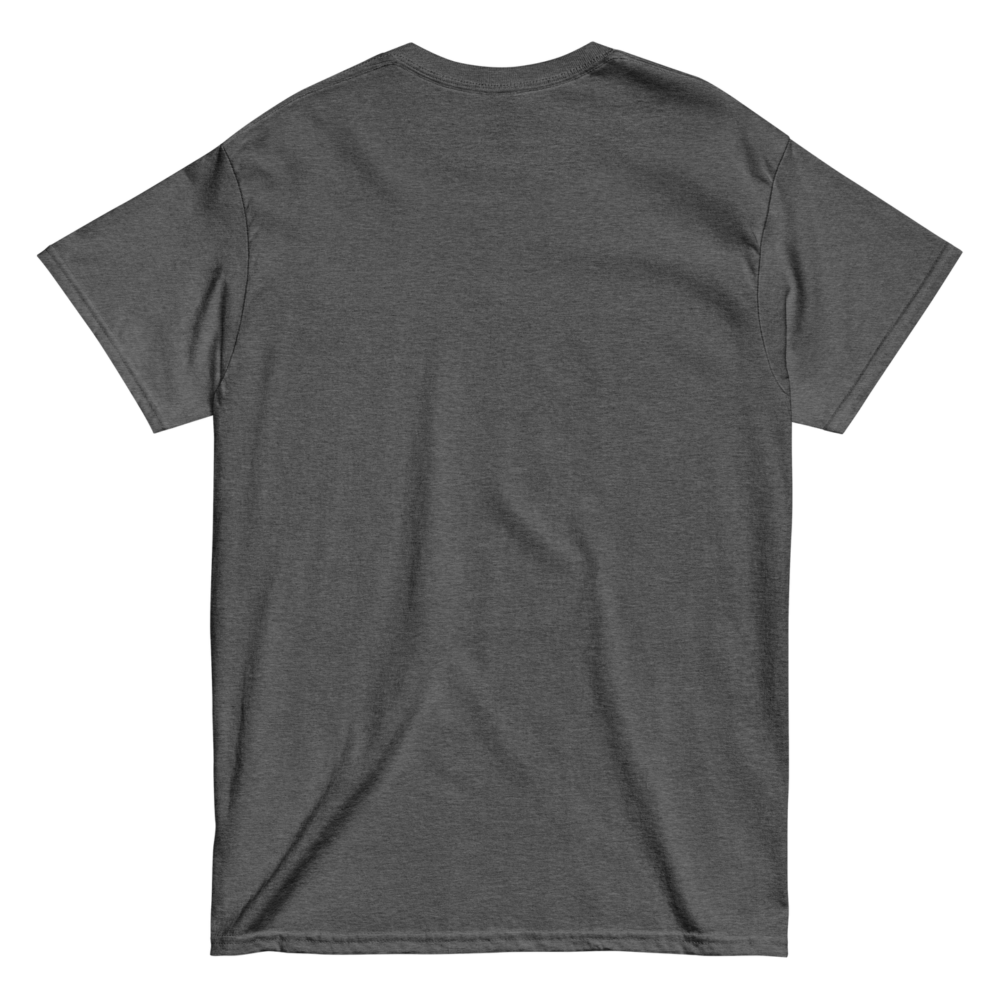 Megan and the Rescues - Unisex classic tee