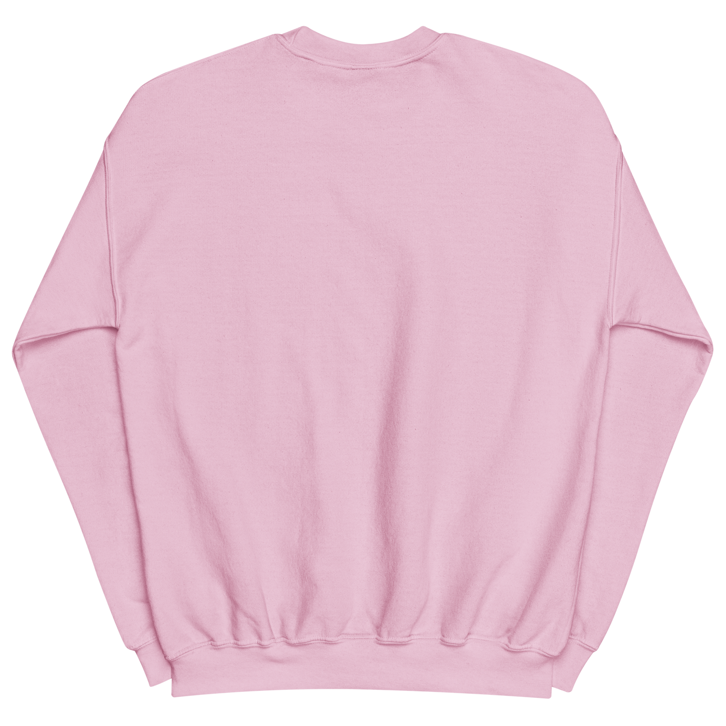 Baby Bird Disco Shades - Unisex Sweatshirt