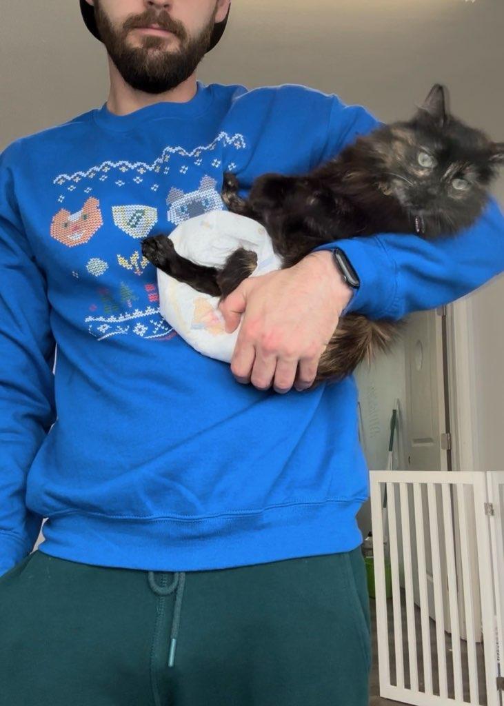 A Diaper Cat Christmas - Unisex Sweatshirt